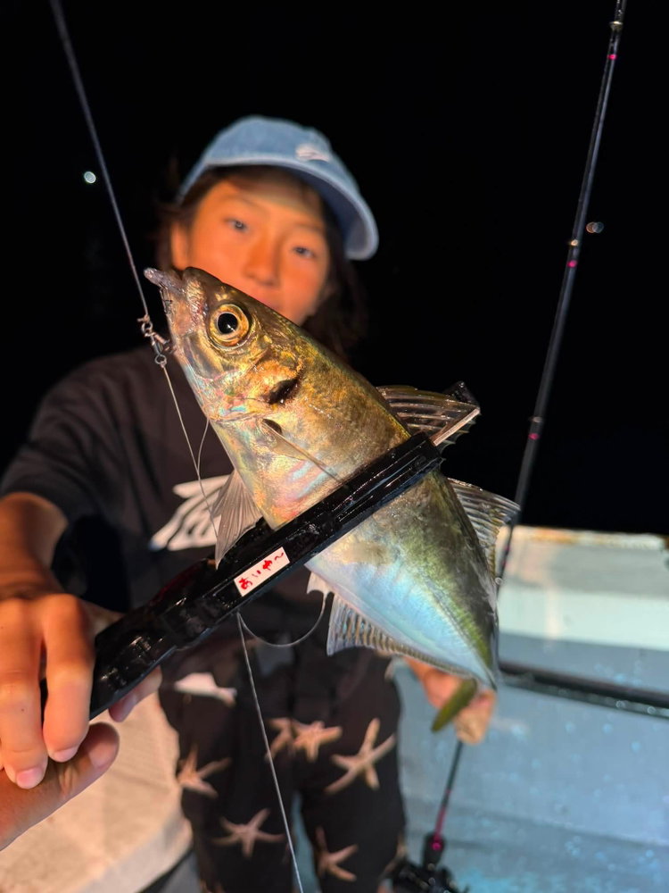 三重県大紀町錦の海音丸さんにて！ １投目から鯵あいや〜シリーズで真鯵爆釣！ 初めてバチコンにチャレンジしたご夫婦も鯵あい…