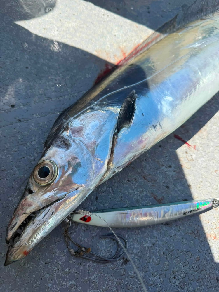 三重県鳥羽市のキャスティングヒートさんにて！ あいや～じぐ185g ぽっちゃりあいや～じぐ180g TGあいや～Cust…