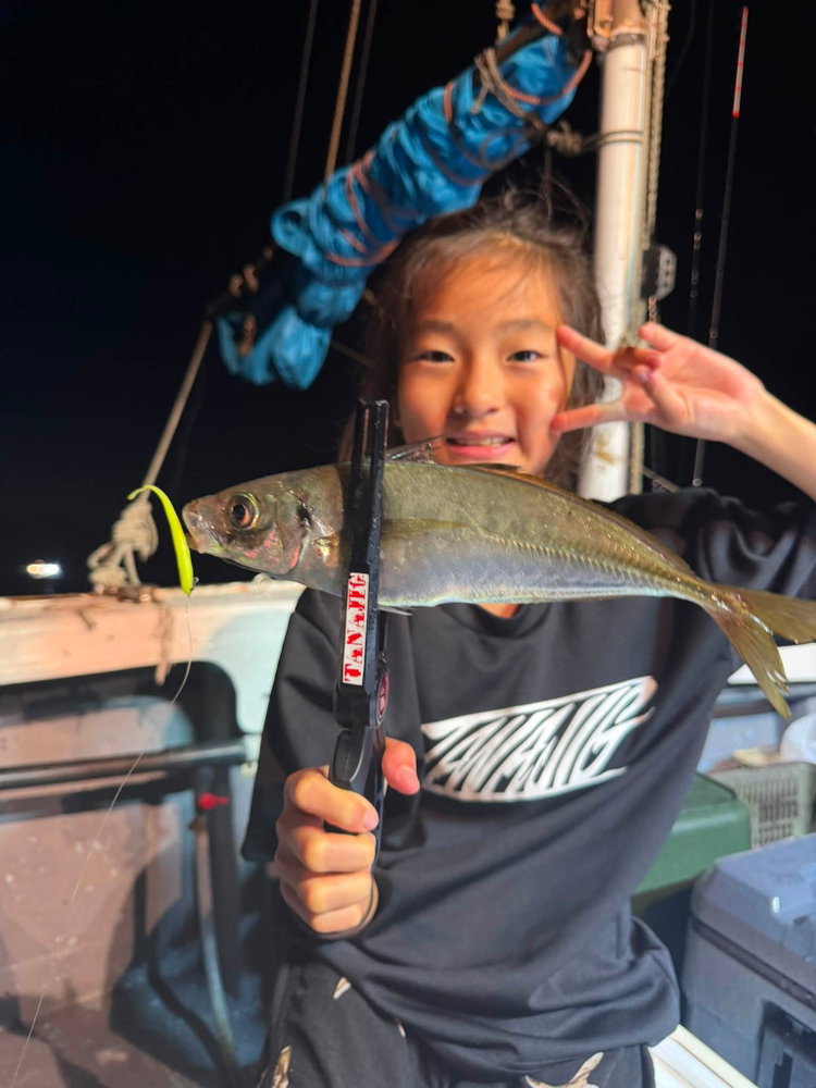 三重県大紀町錦の海音丸さんにて！ 鯵あいや〜ロング 鯵多数、真鯛 あいや～スッテ ケンサキイカ大剣サイズ 子供でも簡単装…