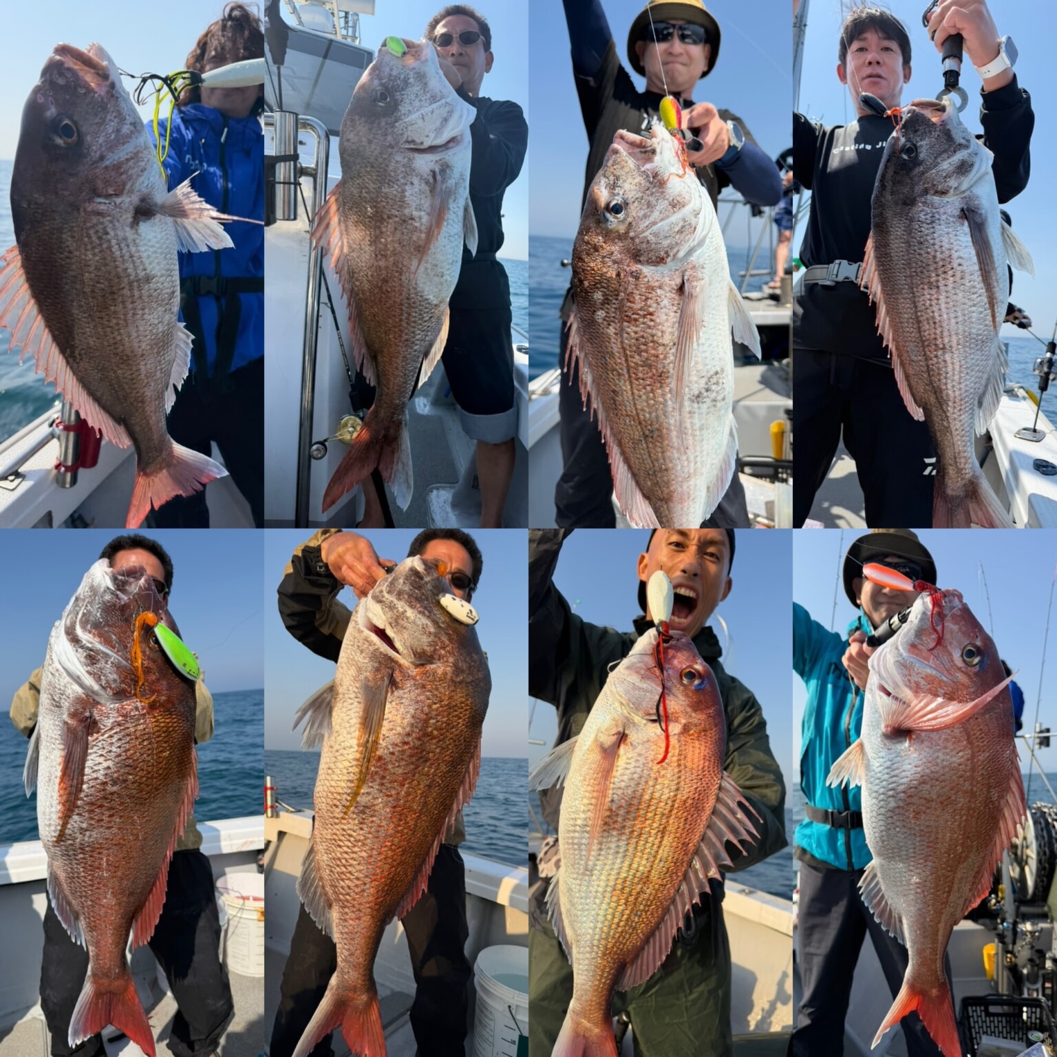 福井県沖ディープタイラバあいや～タコカーリー連日炸裂中